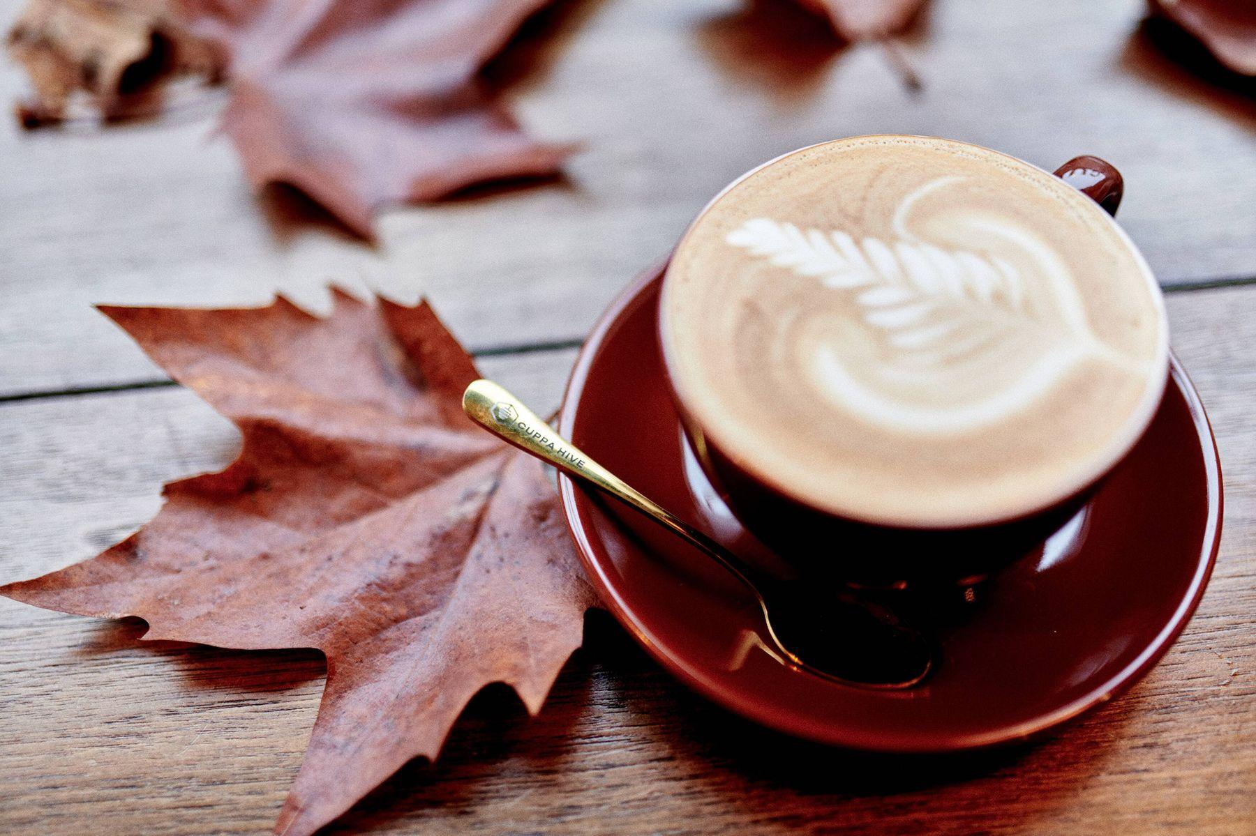 A rosetta latte in an oxblood cup with a golden hive spoon, on autumn leaves